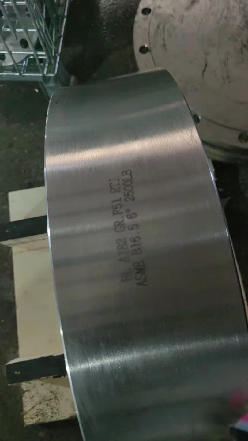 A182 GR. F51 RTJ RF ASME B16.5 6 6" blindflans 4